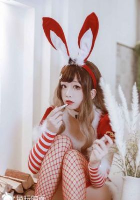 野花视频在线观看免费高清版